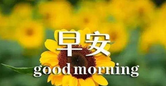 阳光下的故事——生命的能量（从蚂蚁到人类，阳光照耀着每个生命）