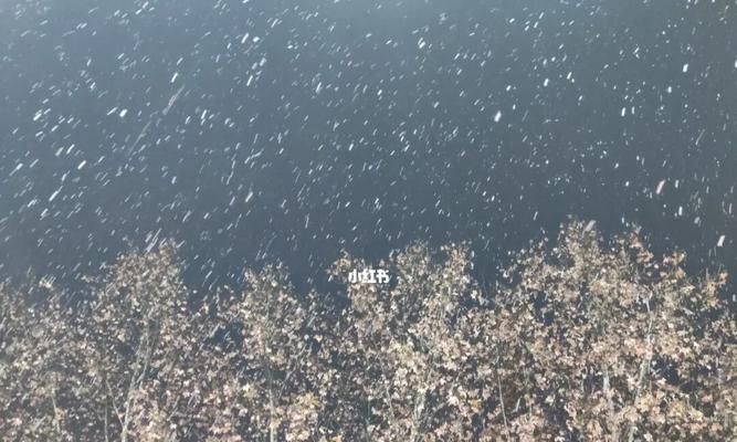 冬日的浪漫（纷纷扬扬的雪花，让一切变得美丽）