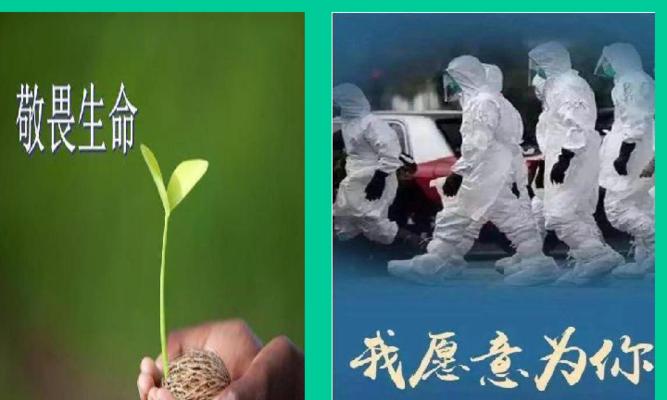 祖国是我生命的根（祖国是我生命的根）