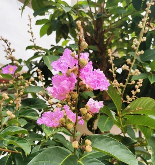 光明在前方（转角过后是晴天）
