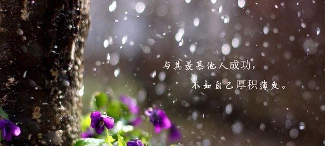 挫折不是终点，努力才是起点（她用努力超越了挫折，成就了自己）