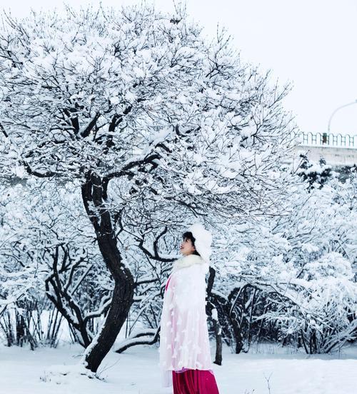 雪国童话（一个冬日的奇遇）