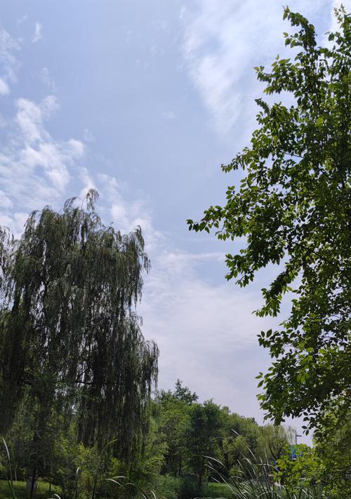平淡如水，却别有一番滋味——小城故事