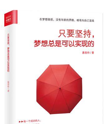 坚持梦想，勇往直前（年轻创业者的成功之路）