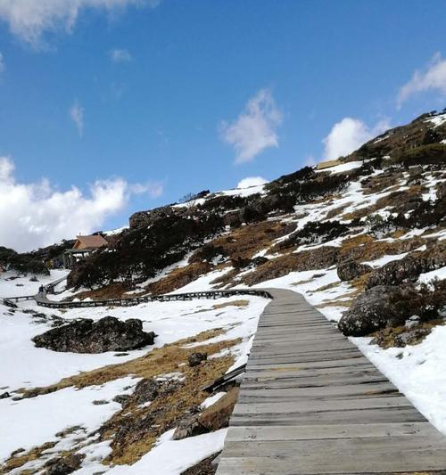 《美丽的生命旅途》（一个女孩的坚韧与勇敢）