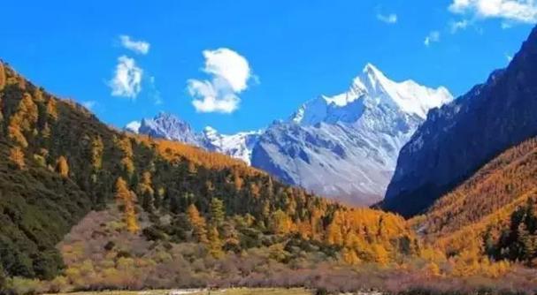 （段四）渐渐地，太阳的影子已经可以看到了。它是如此的鲜艳，使得山坡上的草原都亮了起来。