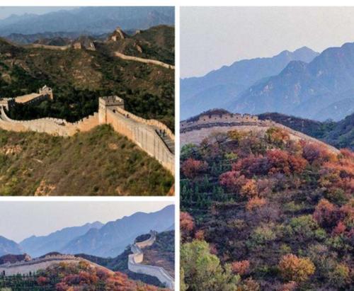 一颗润泽着大地的心（当年的志愿者，如今的白衣天使）