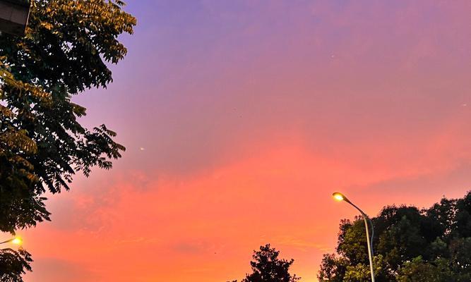 夏日的魅力：一个难忘的夏日