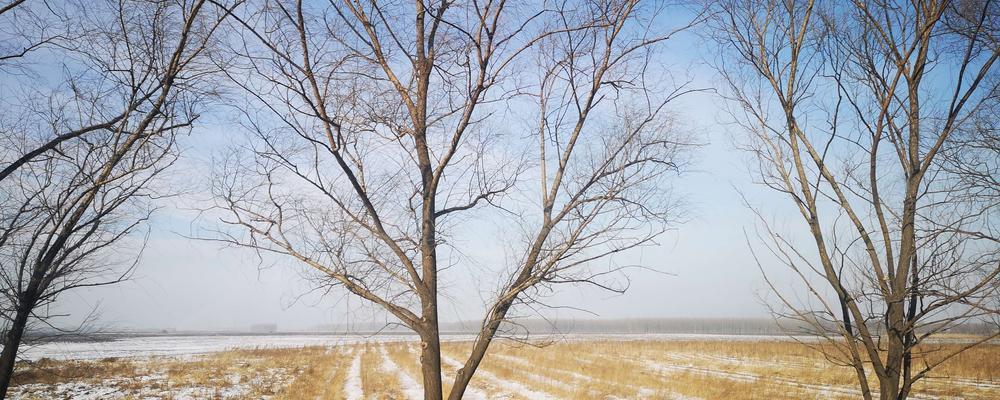 在白雪覆盖下的田野中，有一个属于冬天的世界（在白雪覆盖下的田野中，有一个属于冬天的世界）