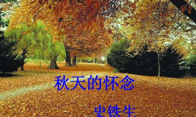 秋日的怀念