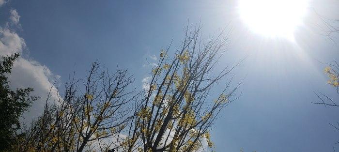 永恒的陪伴（太阳与人类之间的故事）