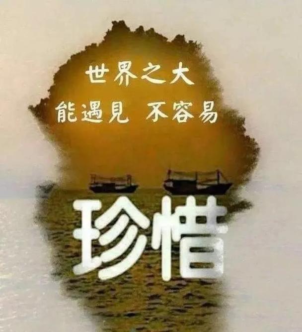 不同的语言，相同的爱——相互理解的力量（跨越文化障碍，搭建心灵桥梁）