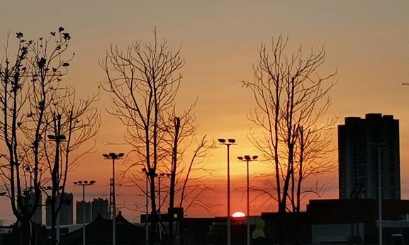 LookingupattheSky,EmbracingYouthandSunshine（AStoryofFindingOneselfandHappiness）
