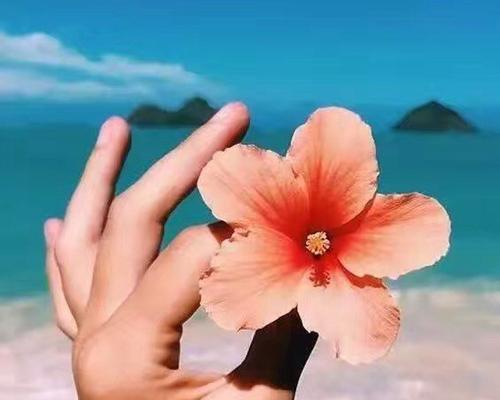 快乐与开心的探险之旅（带着夏日的清凉，回忆盎然的时光）