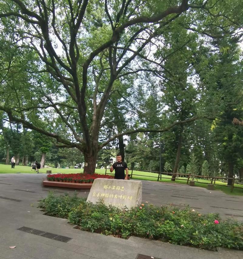 一个年轻人的奋斗历程（一个年轻人的奋斗历程）