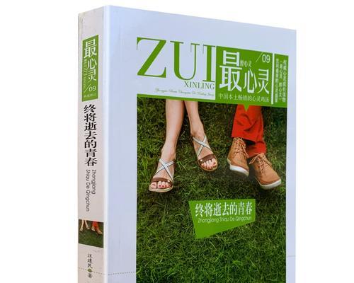 追梦的青春（梦想与现实的交锋）