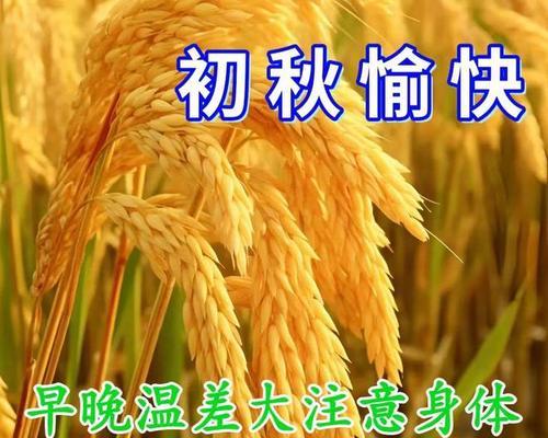 新年欢乐故事（共度佳节，放飞快乐）