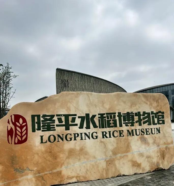 耕耘不停——以辛苦和汗水为主题的小故事（用汗水浇灌出的收获）