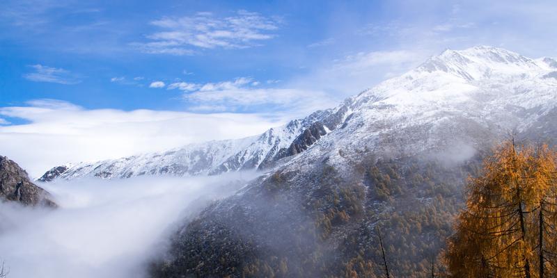 路途中的半途美景（探寻旅途中的美好瞬间）