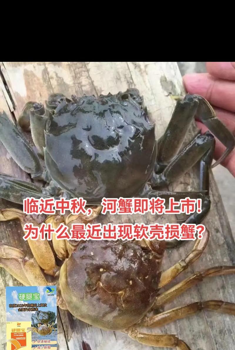 找到方向的路上（一个年轻女子的故事）