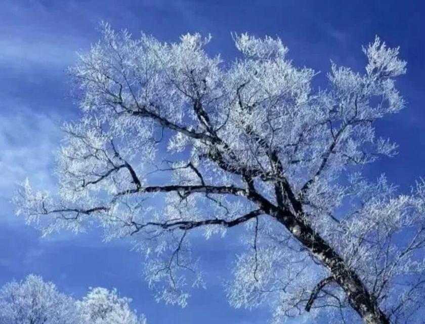 冬天的变幻莫测（一个冬日的奇遇）