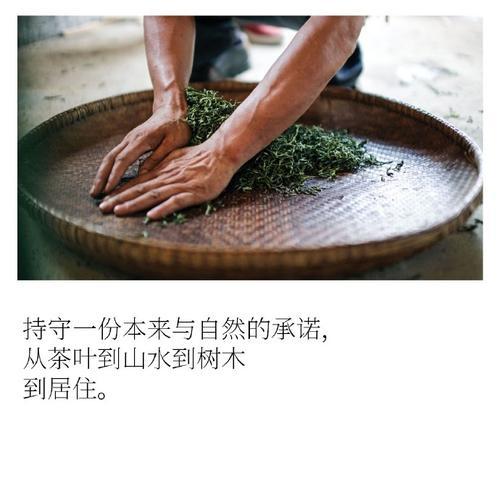和谐之舞（当人与大自然相互融合，和谐的舞步便从中诞生）