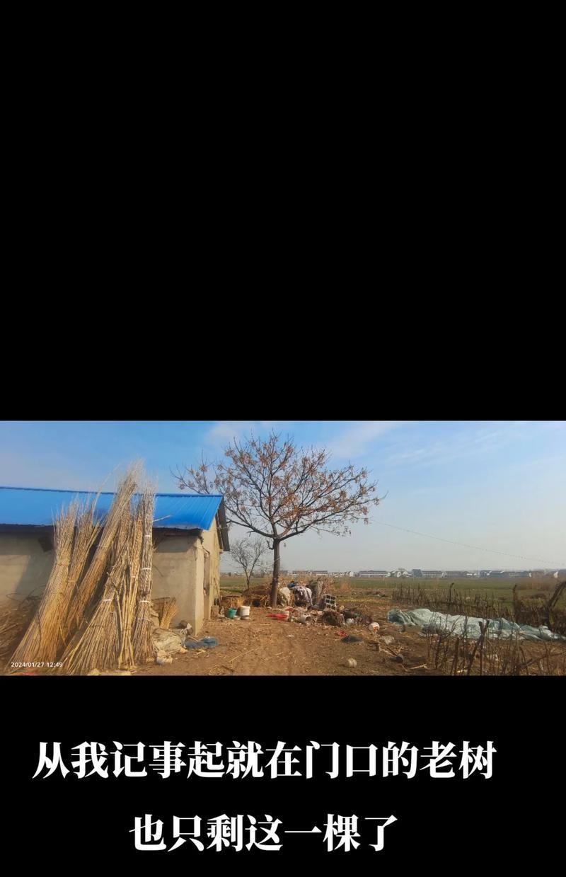 老屋的记忆（岁月如梭，时间无痕）