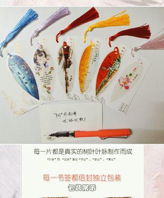 学校的精彩