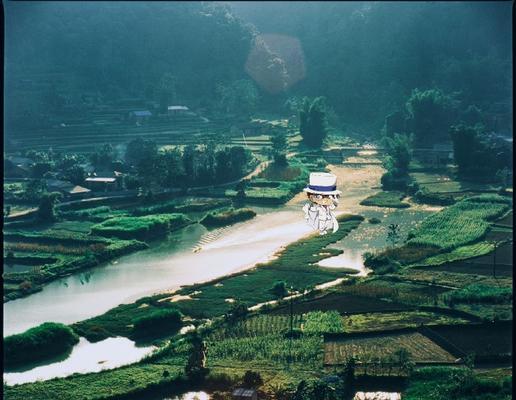 “考场风景”
