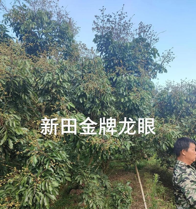 不平凡的岁月（一个人的成长故事）