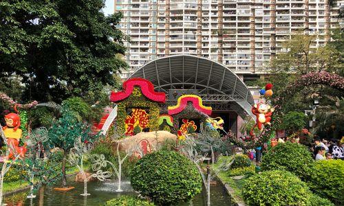 传承不灭，源远流长（小镇书香故事）