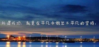 我发现遗憾之美