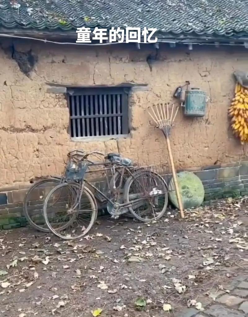 老屋童年记忆（老屋里的童年趣事）