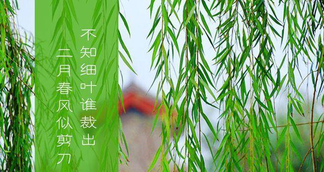 燕啼晨曲（一个富有想象力的小男孩）