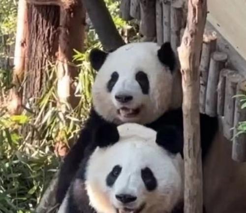 温暖的时光（一位老人和一对年轻夫妻的故事）