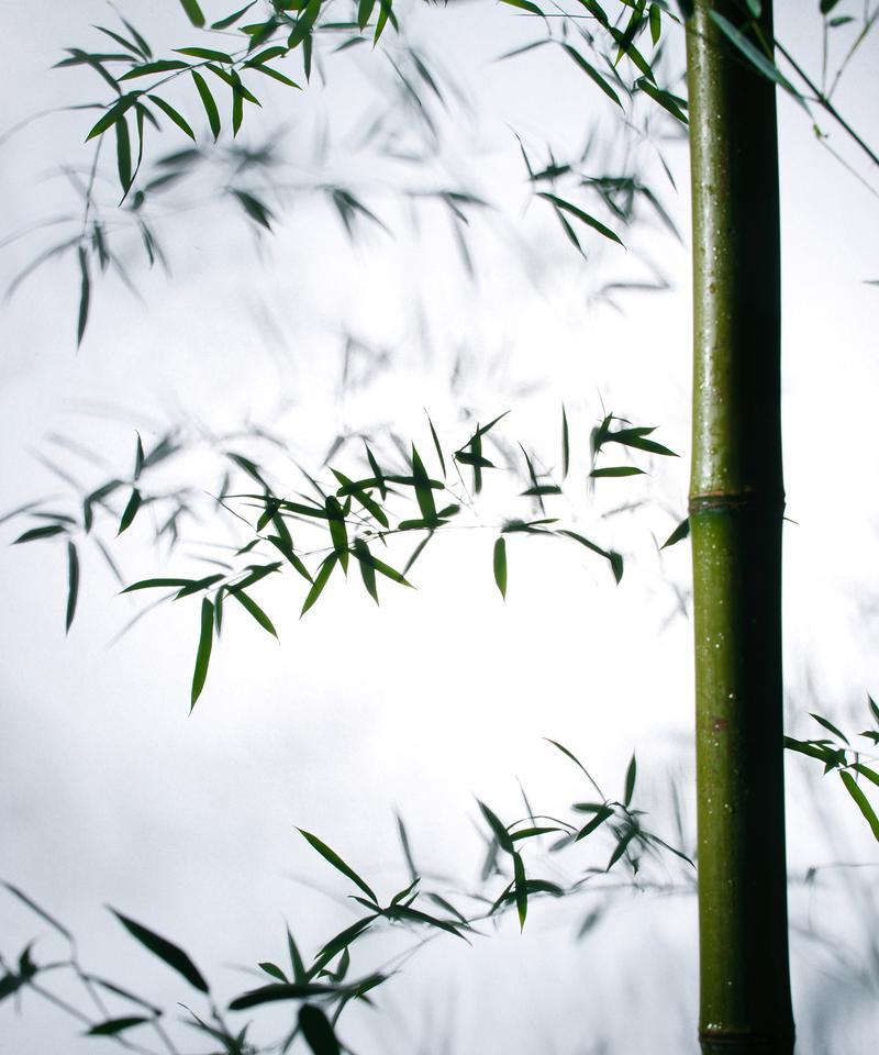 记忆之舞（在这里，我用舞蹈诉说着我的故事）