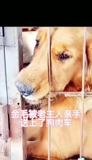 万物之声，皆有灵性