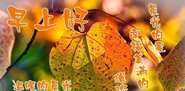 冬天的哲理（寻找内心的温暖）