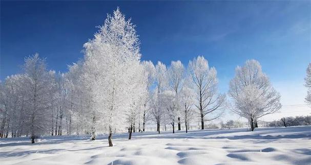 白雪小山村的美好时光（珍惜感恩，汲取力量与智慧）