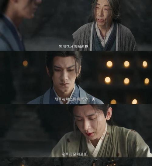 仰慕的心（青春的记忆）