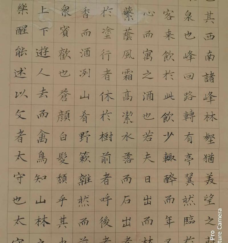 善良的心（一个人的力量）