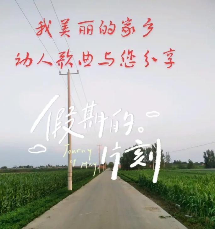 探秘我家乡（美丽山城的故事）