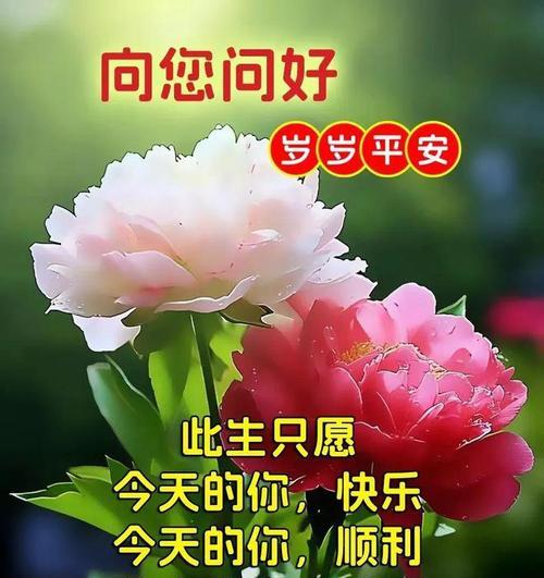 光明永驻——一个家庭的传承（让信仰之光照亮你的生命）