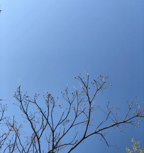 独自一人的冬天早晨（孤独、温暖、思考）