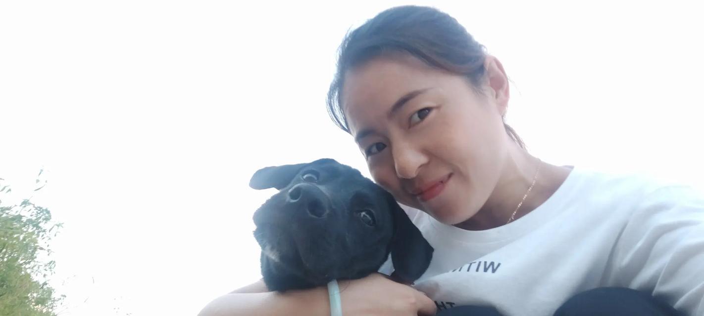 在成长路上的点滴经历（在成长路上的点滴经历）