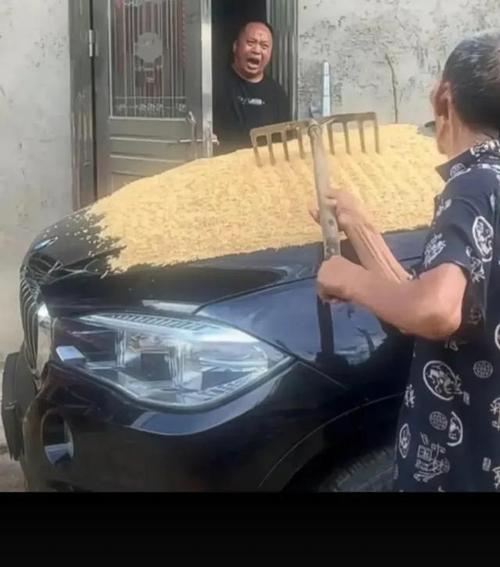 万物之声，皆有灵性——一个不为人知的故事（一位小姑娘与生命之声的对话）