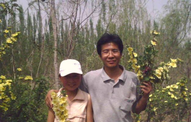 一个失去和一个收获（一个失去和一个收获）