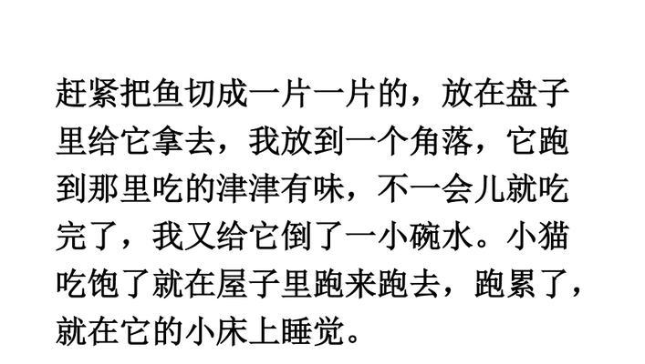寻找失落的狗狗（一个少年和一只热情的狗狗的故事）