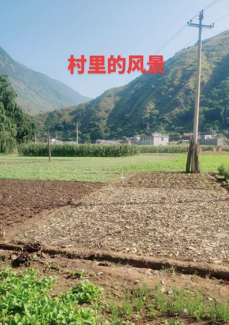 考场上的风景（一场考试，一段回忆）
