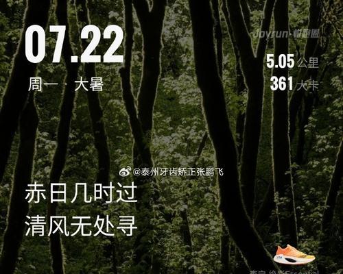 阳光下的青春岁月（记录我人生中最美好的时光）